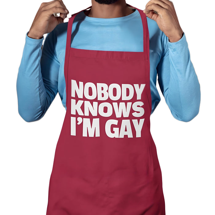 Nobody Knows I'm Gay