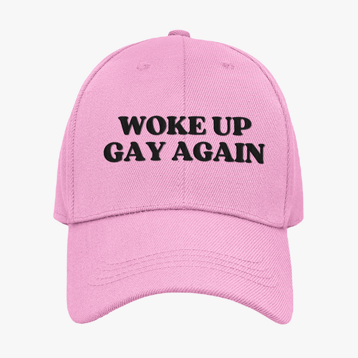 Woke Up Gay Again