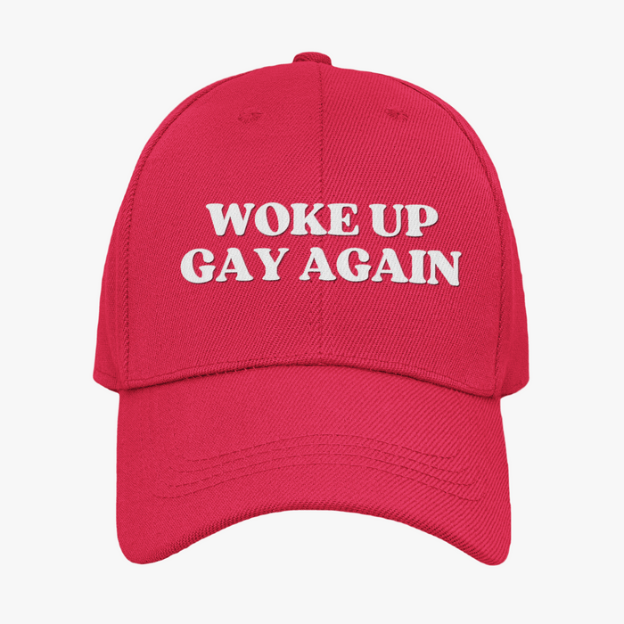 Woke Up Gay Again