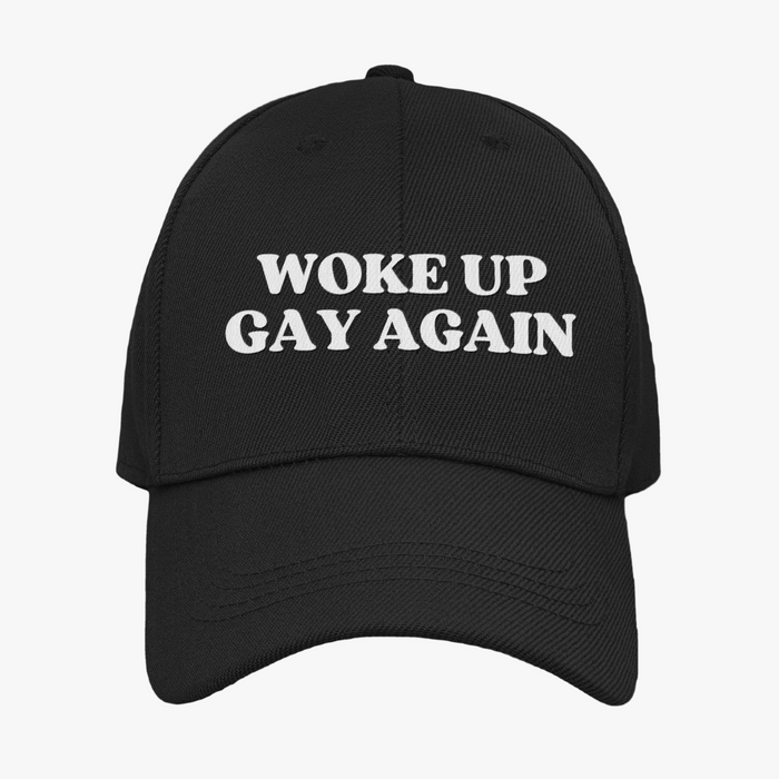 Woke Up Gay Again