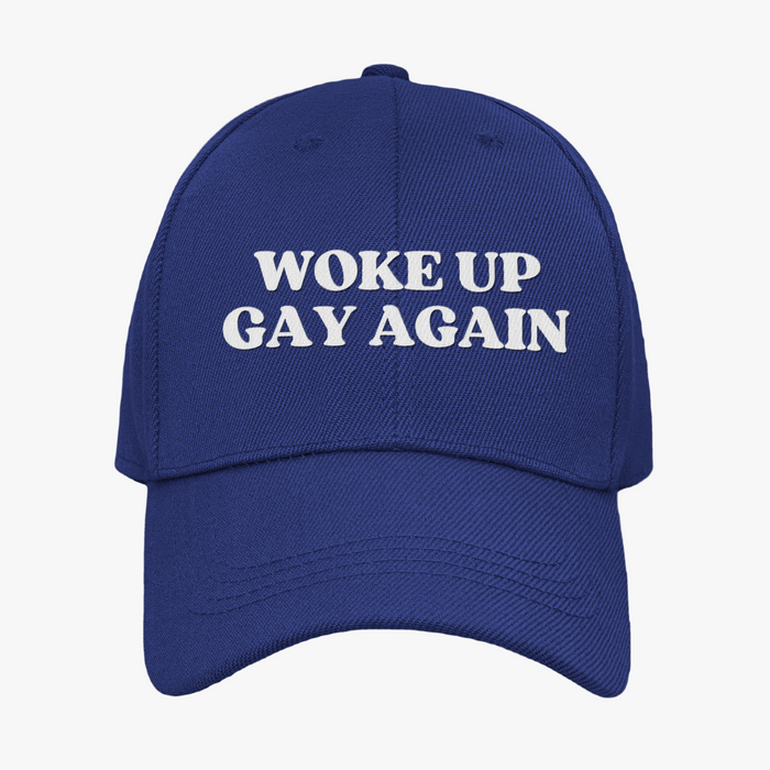 Woke Up Gay Again