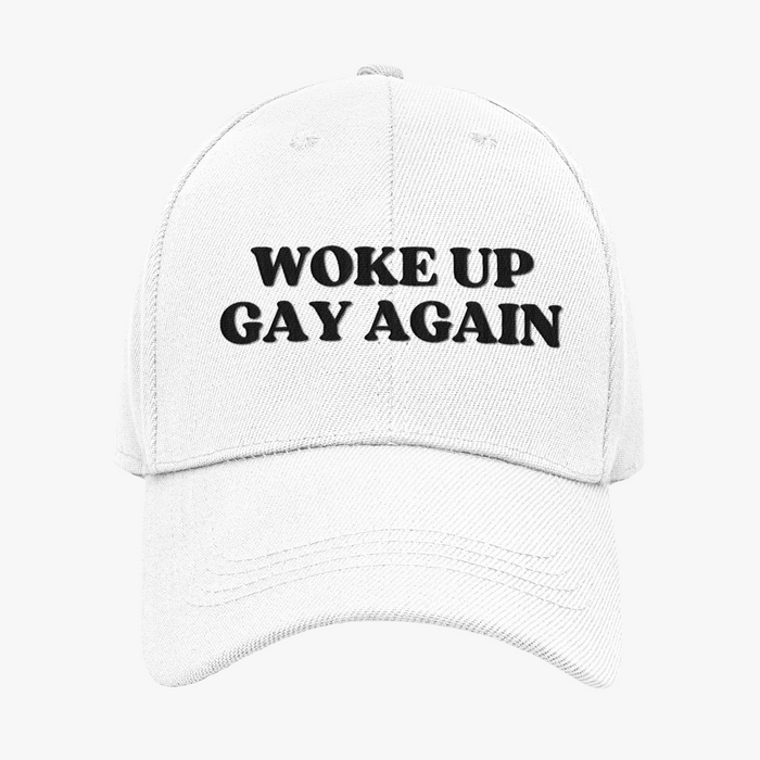 Woke Up Gay Again