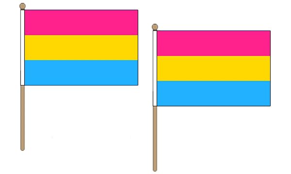 Pansexual Hand Flags ( pack of 2 )